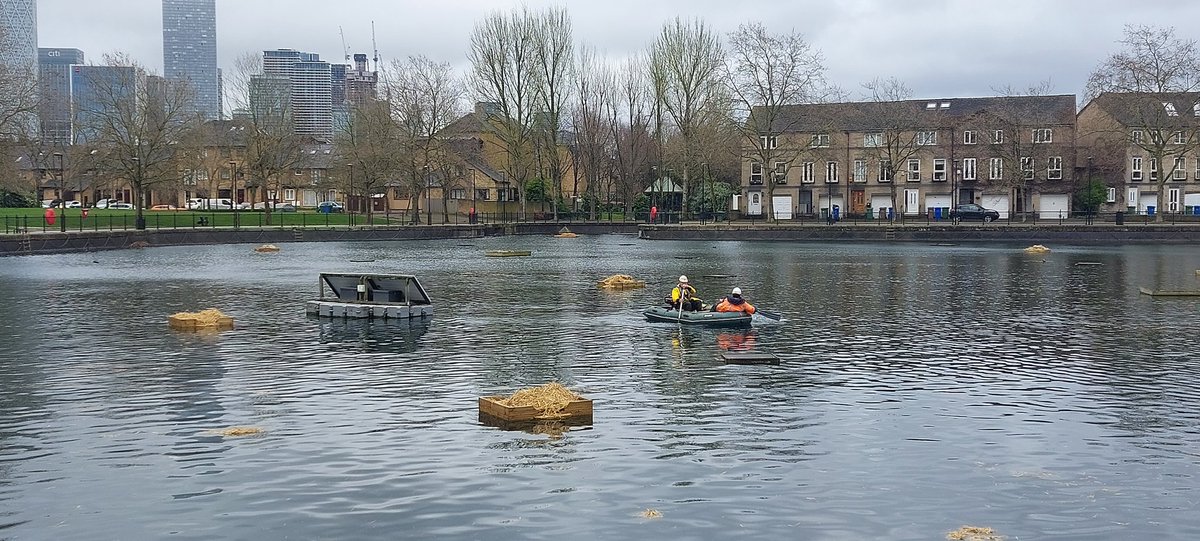 slooshbag5's tweet image. 8 New Nesting Rafts for #Rotherhithe : Surrey Docks Angling + Rotherhithe Harbourmaster + Green Connections 106', work together on Surrey Waters new homes project. Big thanks to @PhantomPeakUK @ArtInvestRE funding &amp;amp; build.   @LondonNPC @SwanSanctuary @SwanwatchUk @lb_southwark