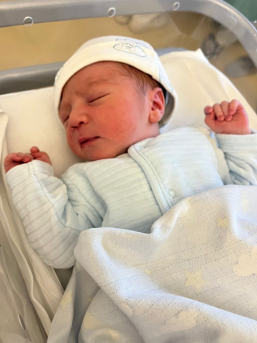 Stefano Rossi tweet media