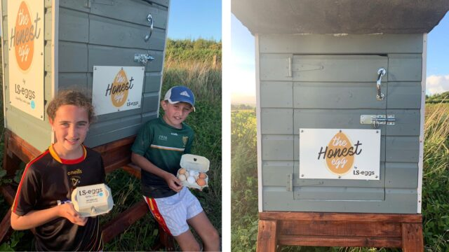 #Rolemodel Liam (11) &amp; Sophie Ellis (10), Ireland have been running their own egg business ‘The Honest Egg’ where they leave eggs for others to trade for money, have raised over €3,000 for charity but have been forced to close the box as money always stolen. #Keepgoingguys