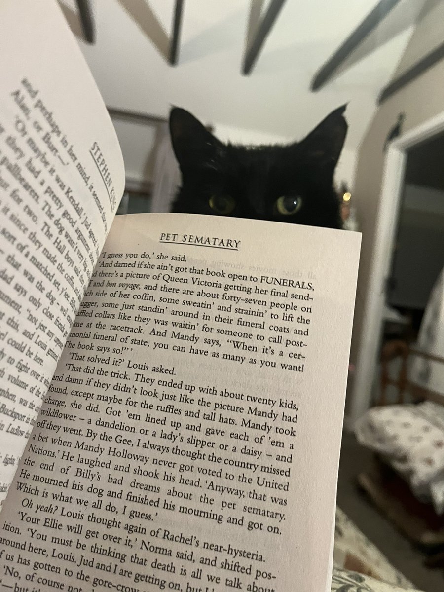 I just wanted to read @StephenKing’s Pet Sematary in peace…this is very unnerving 😂