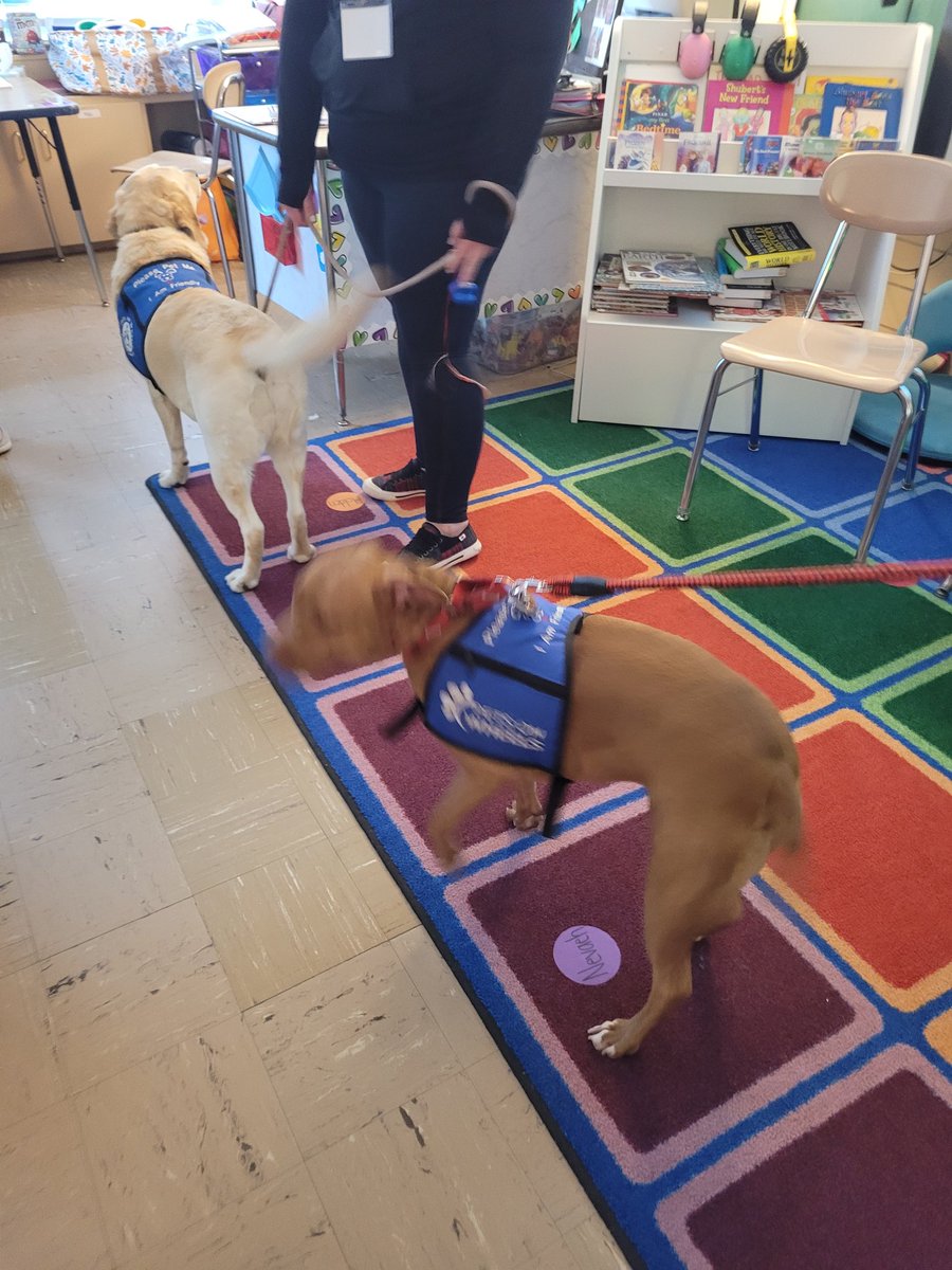 Mrs. Cunningham tweet media