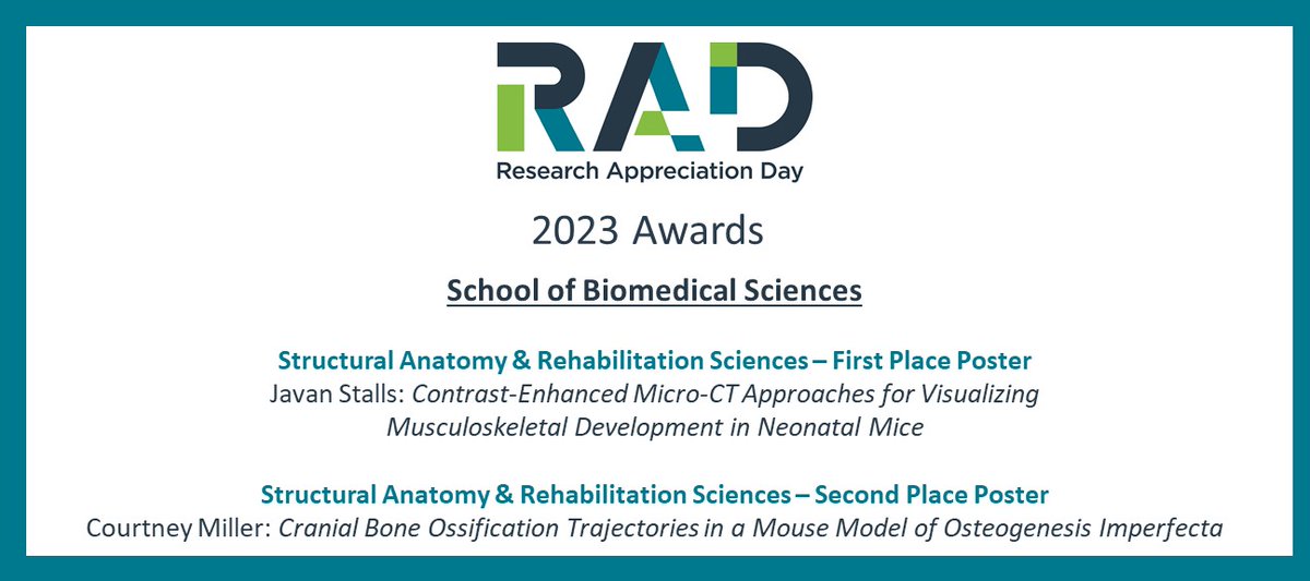 Rachel Menegaz tweet media