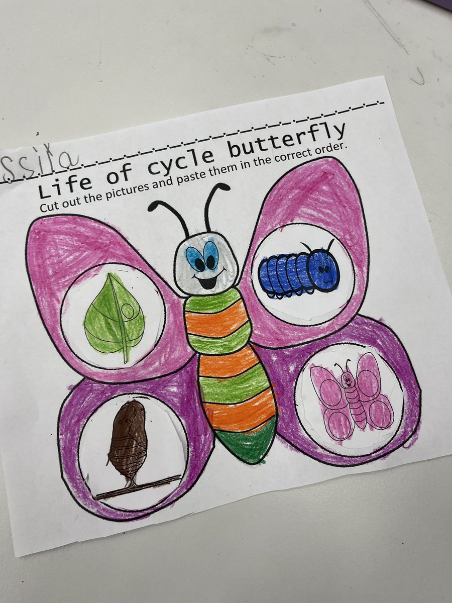 Mgolles_library's tweet photo. KinderGators learning about the life cycle of a butterfly! 🧡💚🐛🦋@GESGATOR https://t.co/4JAYEZEsa8