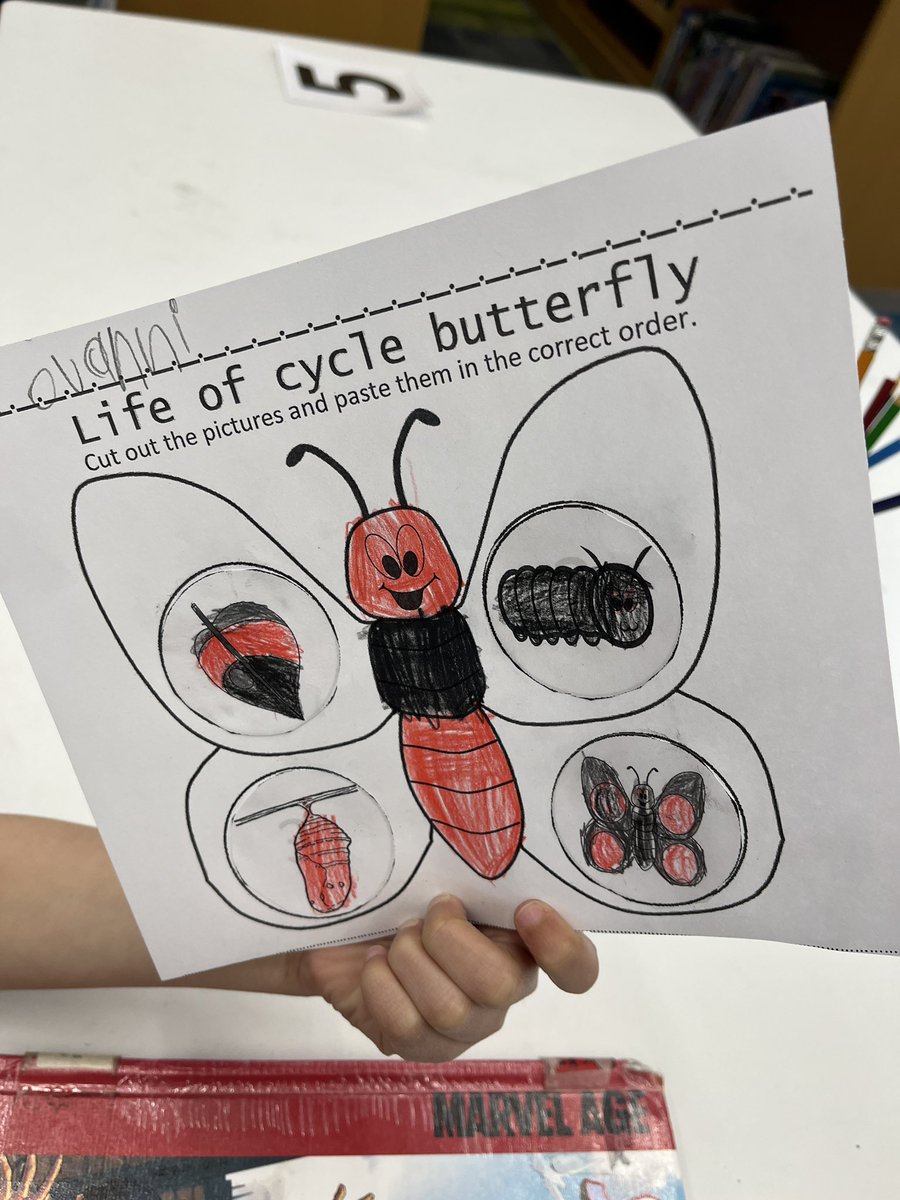 Mgolles_library's tweet photo. KinderGators learning about the life cycle of a butterfly! 🧡💚🐛🦋@GESGATOR https://t.co/4JAYEZEsa8