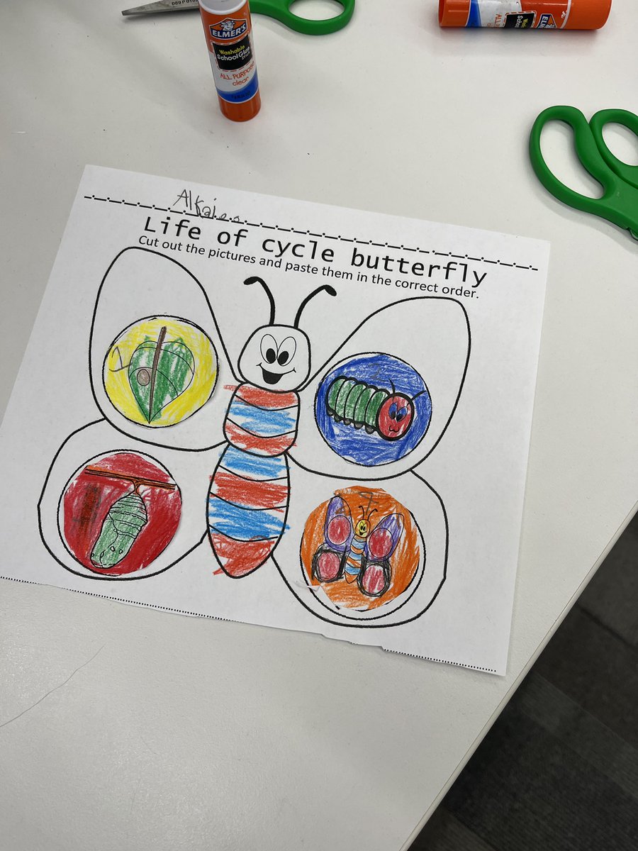 Mgolles_library's tweet photo. KinderGators learning about the life cycle of a butterfly! 🧡💚🐛🦋@GESGATOR https://t.co/4JAYEZEsa8