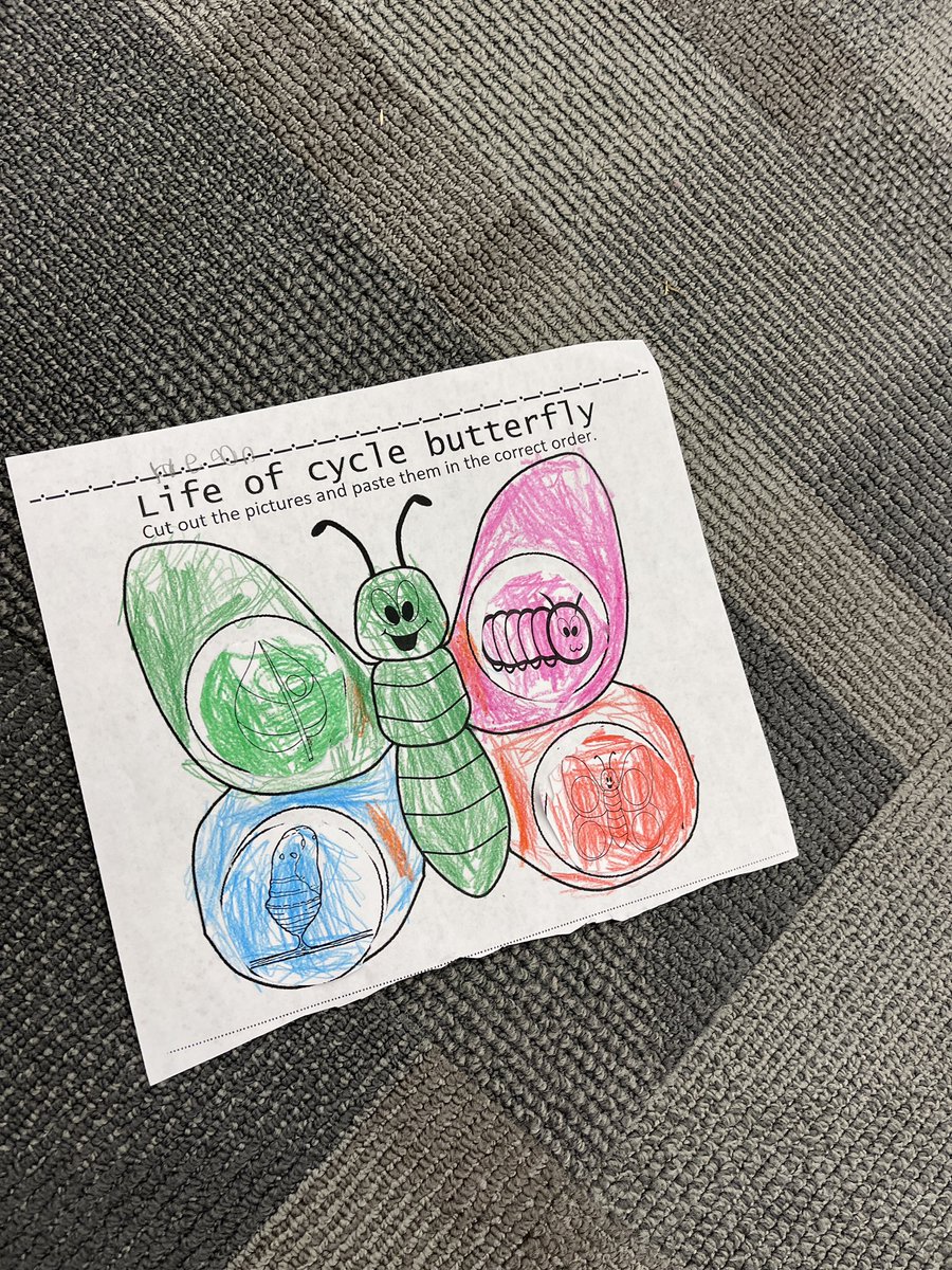 Mgolles_library's tweet photo. KinderGators learning about the life cycle of a butterfly! 🧡💚🐛🦋@GESGATOR https://t.co/4JAYEZEsa8