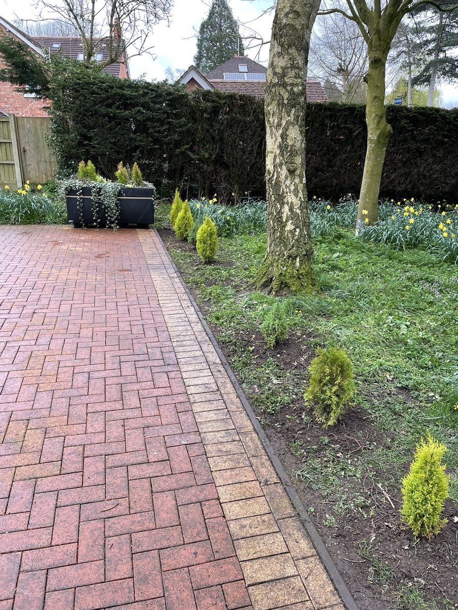 Minor readjustments to the Airman’s grave memorial on Henshall’s Way to accommodate the #replanting of these dwarf conifers that had spent last year in hanging baskets at the front of @NantwichCivic. @NantwichTC and it’s Ranger service are #proactive in reducing waste, #recycling