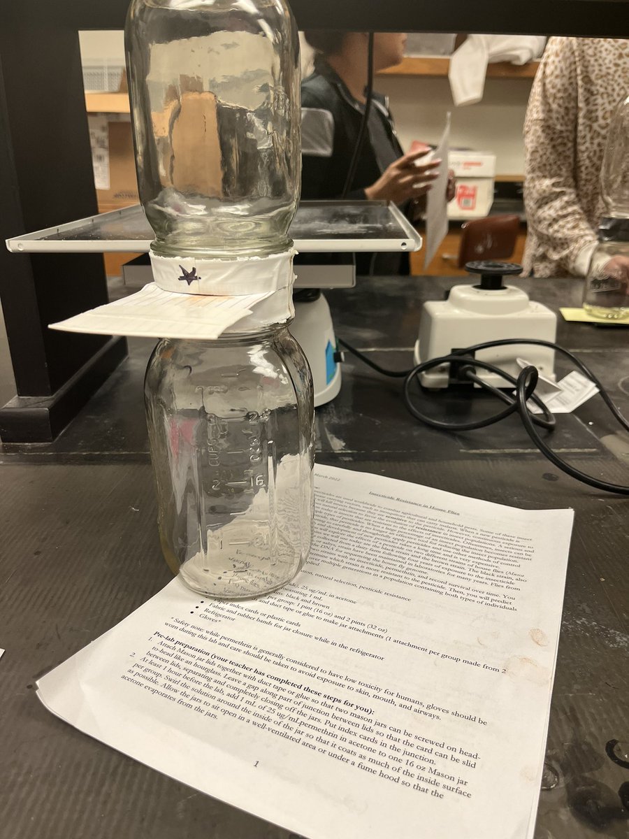 Studying insecticide resistance in drosophila at the University of Houston genetics lab.  Great way to teach our students about natural selection!! <a href="/QV_Raiders/">Quail Valley Middle School</a> <a href="/FBISD_GTA/">FBISD G/T Academy</a> <a href="/KamilahSHolmes/">Kamilah Holmes</a> <a href="/draudraude/">Dr. Audra Ude</a> <a href="/RhondaLeduff/">Rhonda LeDuff</a> <a href="/FBISDscience/">Fort Bend ISD Science</a>
