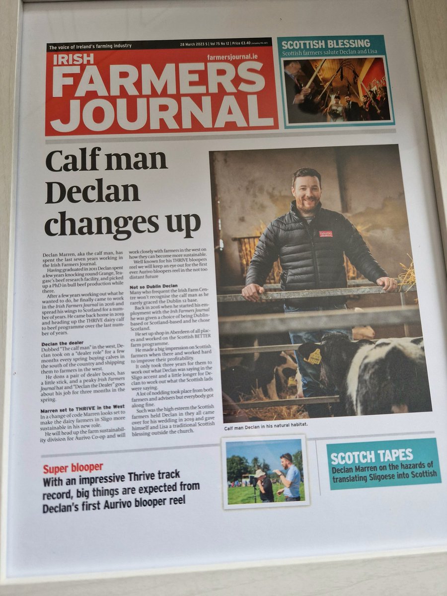 Declan Marren tweet media