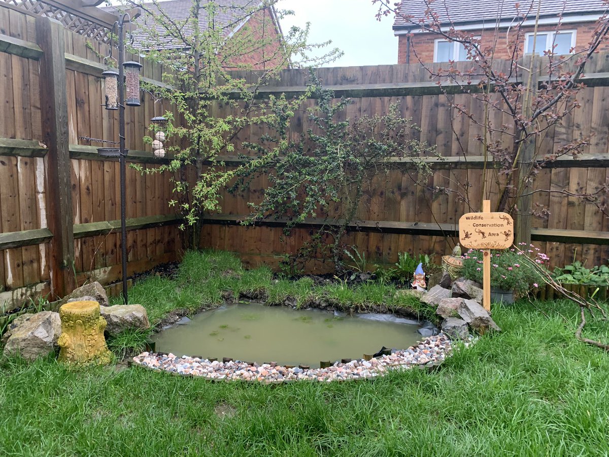A month of rain later and the pond is full! Presenting the latest UK designated protected area (thanks Dad for the excellent signage) 🐸