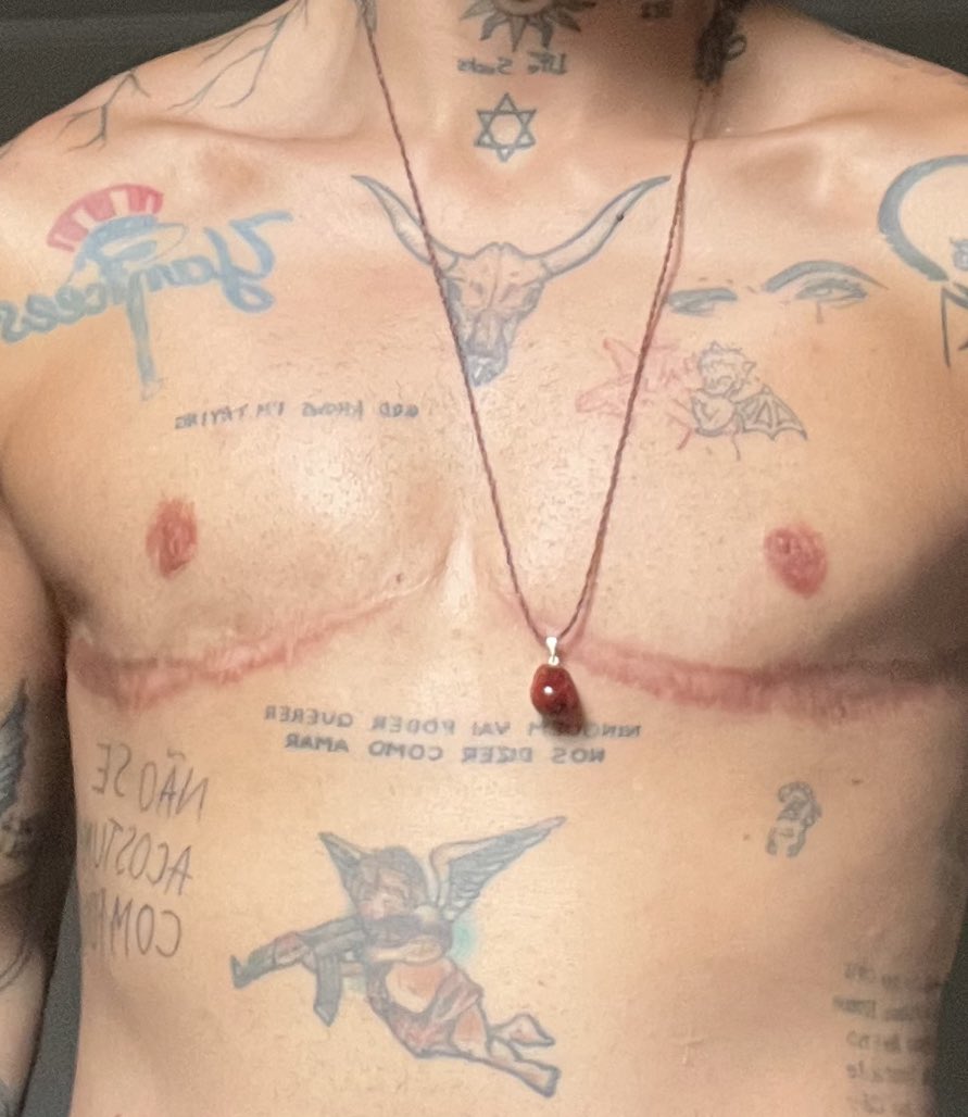 brunoalmeidaoi's tweet photo. trend de mostrar as tetas 
tetas de homens trans também merecem ser vistas 😗✌️ https://t.co/wrjbZp0z0l