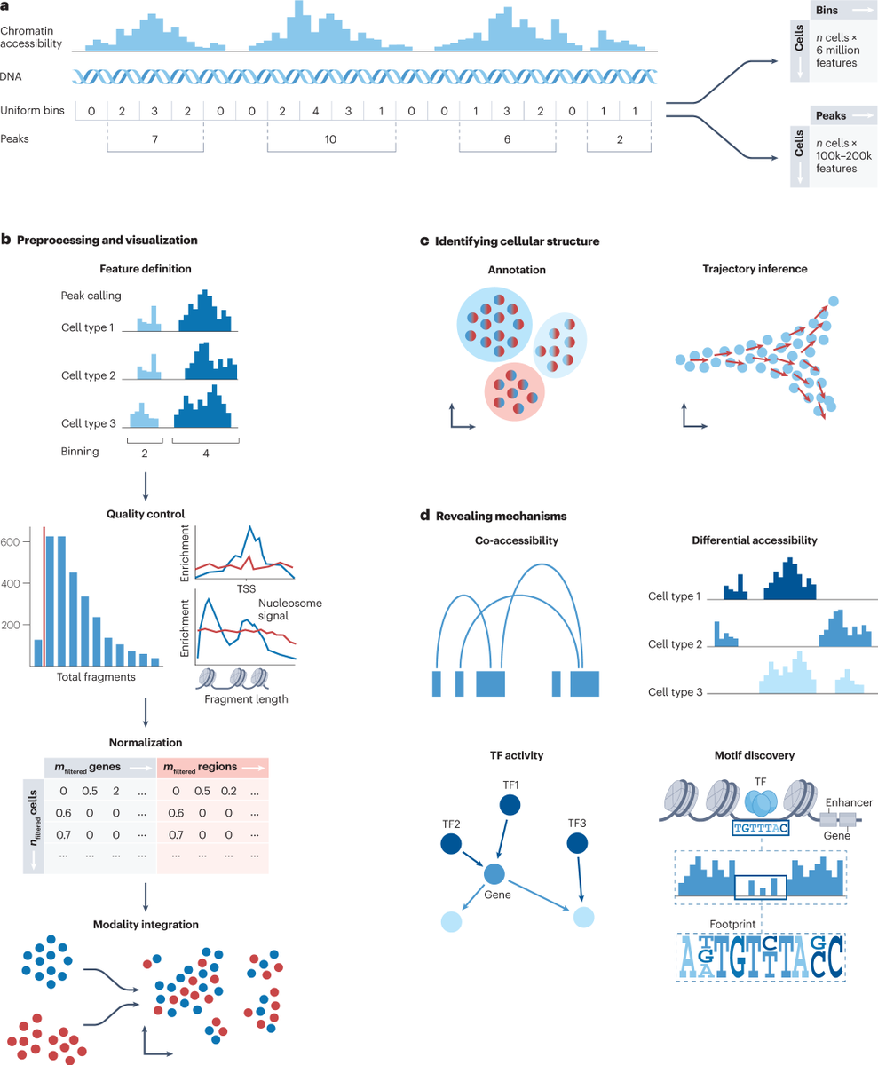 Nature Reviews on Twitter "In this Expert