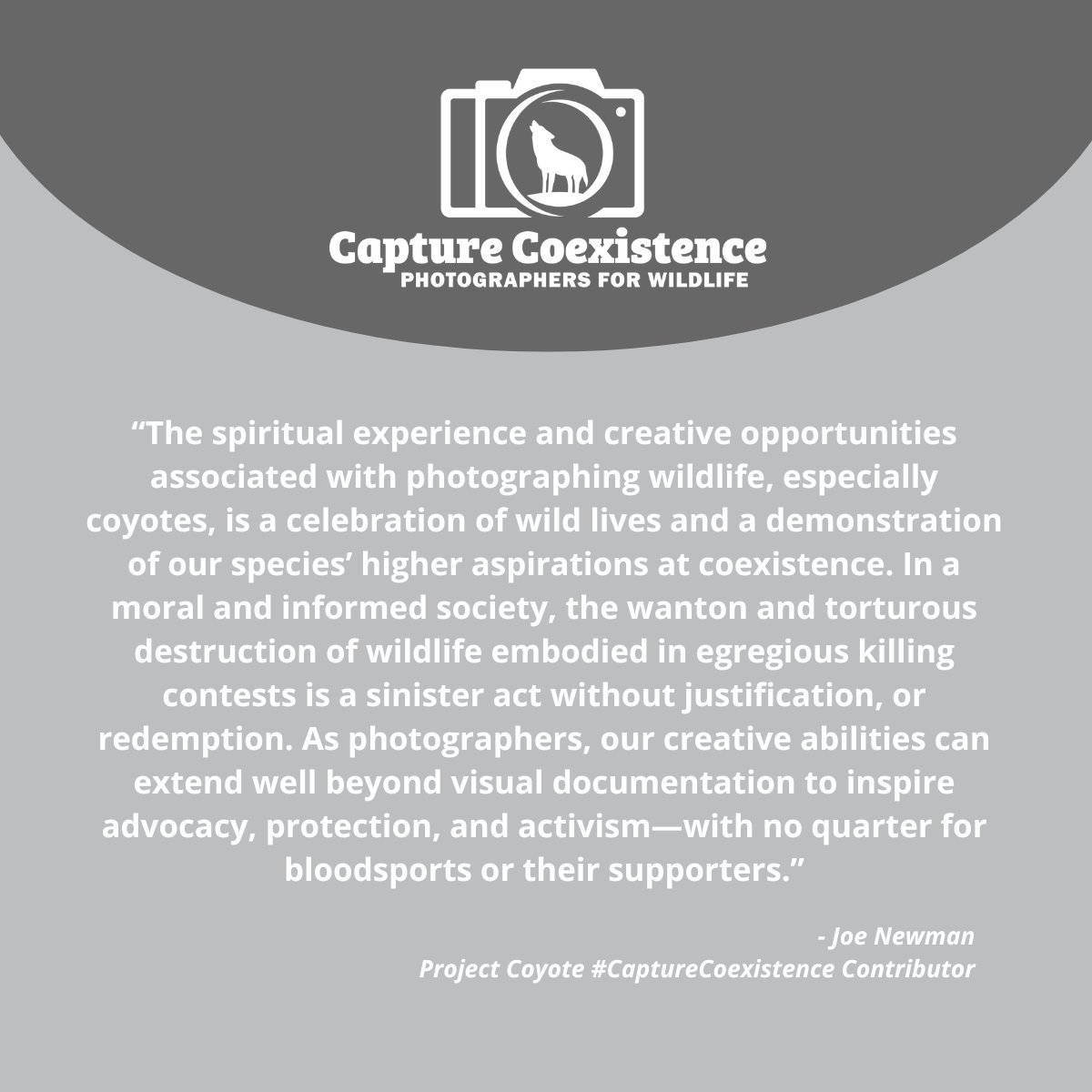 ProjectCoyote's tweet photo. Project Coyote Creative Associate Joe Newman shares why he’s proud to have helped launch the #CaptureCoexistence campaign.

🧡 Join our #CaptureCoexistence campaign and sign our petition calling for an end to wildlife killing contests.  https://t.co/CXP3832cnm 

📷 by Joe Newman https://t.co/ZBs7w8nLeE