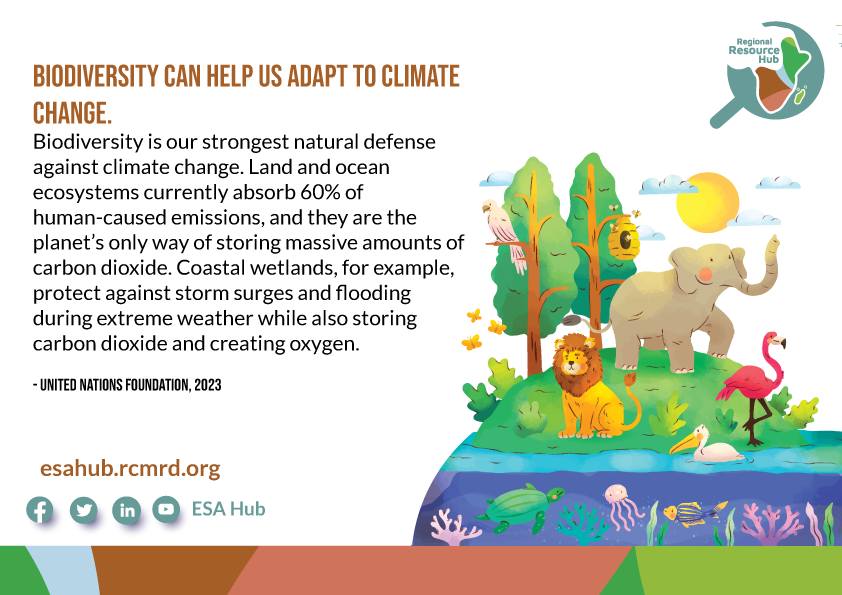esa_hub's tweet photo. Did you know that robust #biodiversity is our only strongest natural defense against climate change? According to researchers led by @bronsongriscom, nature can deliver at least 30 percent of the emissions reductions needed by 2030 to prevent climate catastrophe. #ESAhub #RRH https://t.co/w0HTrGZKBi