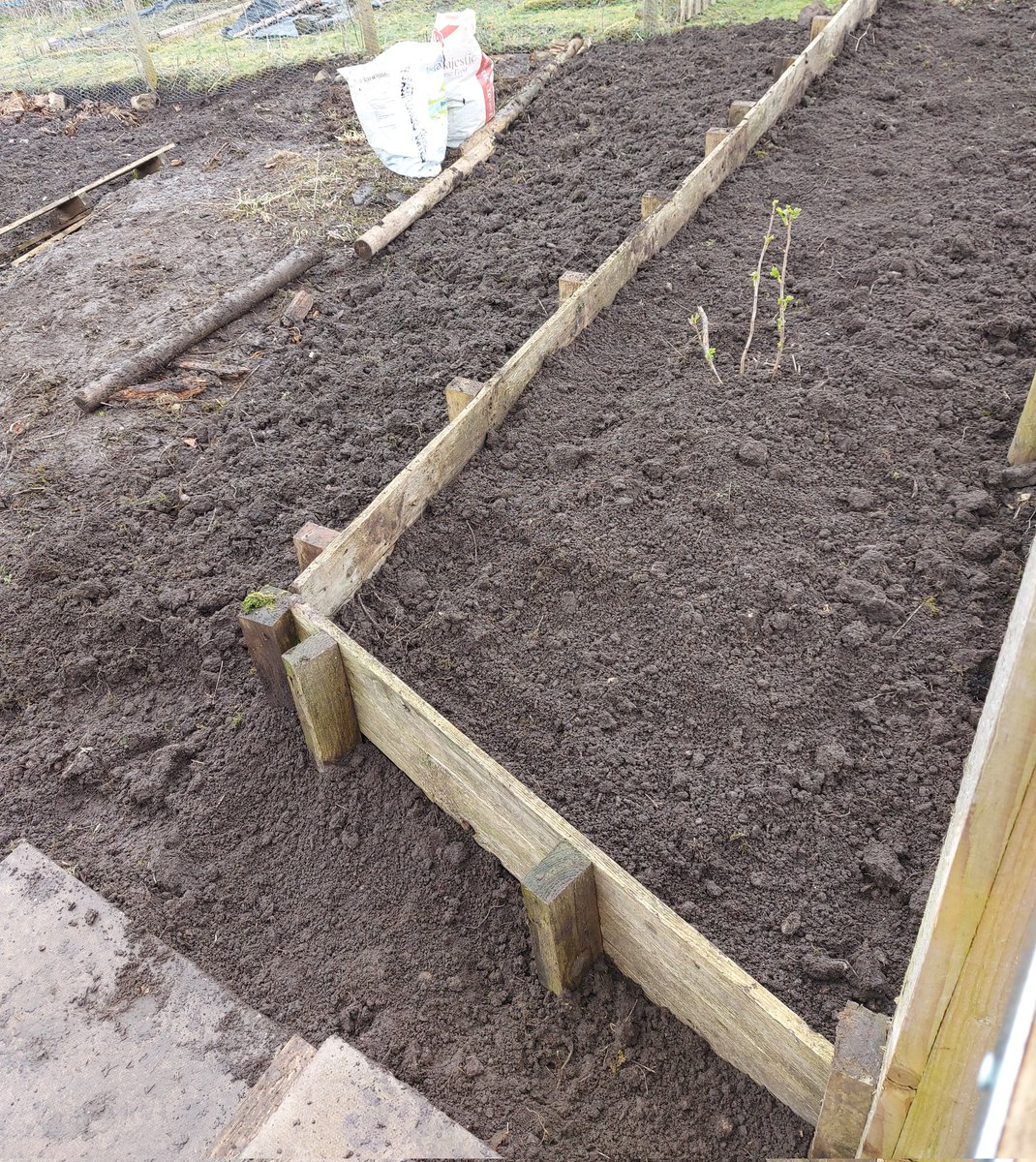 ToavesG's tweet photo. More nettles, weeds &amp; rubbish removed from the new plot. Hopefully I'll be able to plant something this season after all. 😀

#toaves #weeding #soilpreparation #preparationiskey #allotmentrenovation #allotmentlife #2023growingseason https://t.co/RJnjGYuMIK