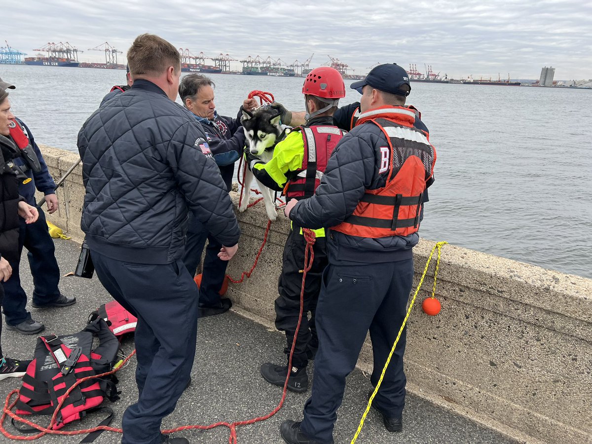 Bayonne_OEM's tweet photo. BFD & BPD jumped into action to save a high-diving husky from Newark Bay today. Thankfully, Eragon is perfectly safe! #wegotarunner #BayonnesBravest #BayonnesFinest @CityofBayonne https://t.co/LXVNrXZnke
