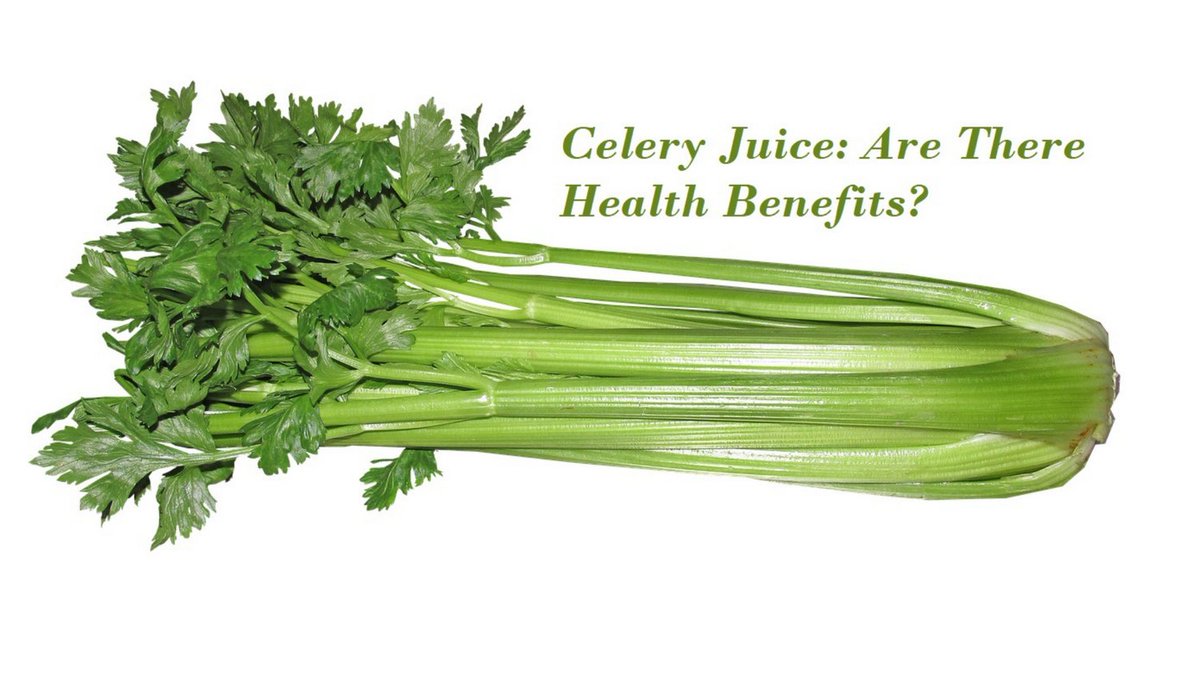 osteosynhealth's tweet image. Do you like #celery? How about #celeryjuice? This article webmd.com/diet/health-be… talks about some potential health benefits, other than tastiness, potentially involved in celery consumption! #jointpain #jointhealth #eathealthy #healthyfoods #health #wellness