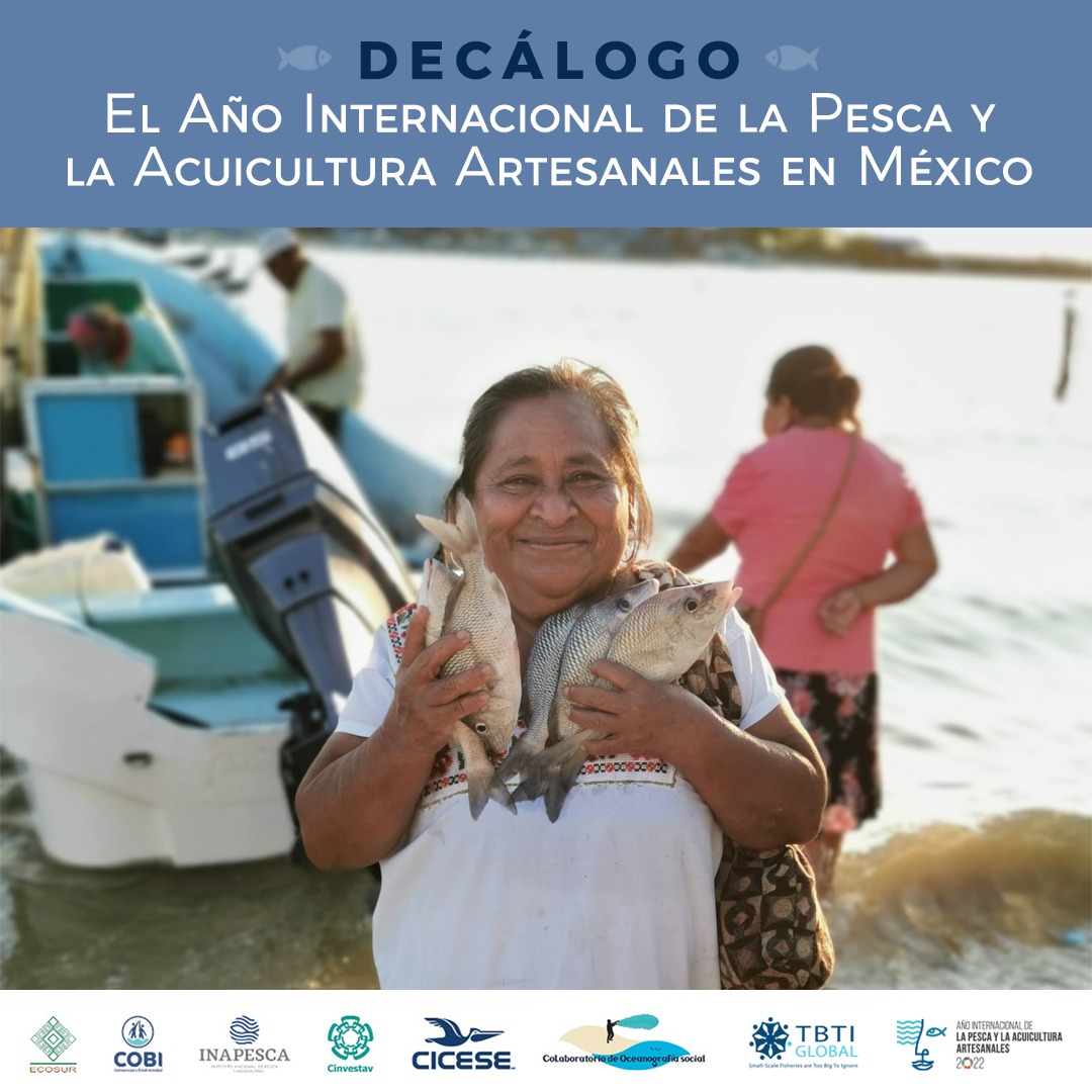 cobi_mx's tweet photo. 🔹 📃Te invitamos a conocer y compartir este DECÁLOGO, producto de un trabajo colaborativo donde se resumen las lecciones aprendidas sobre la realidad actual del sector pesquero y acuícola artesanal en México. 
👉 🔗https://t.co/30BdqhJNs3  
#PescaAcuiculturaArtesanal https://t.co/f21VxIWoli