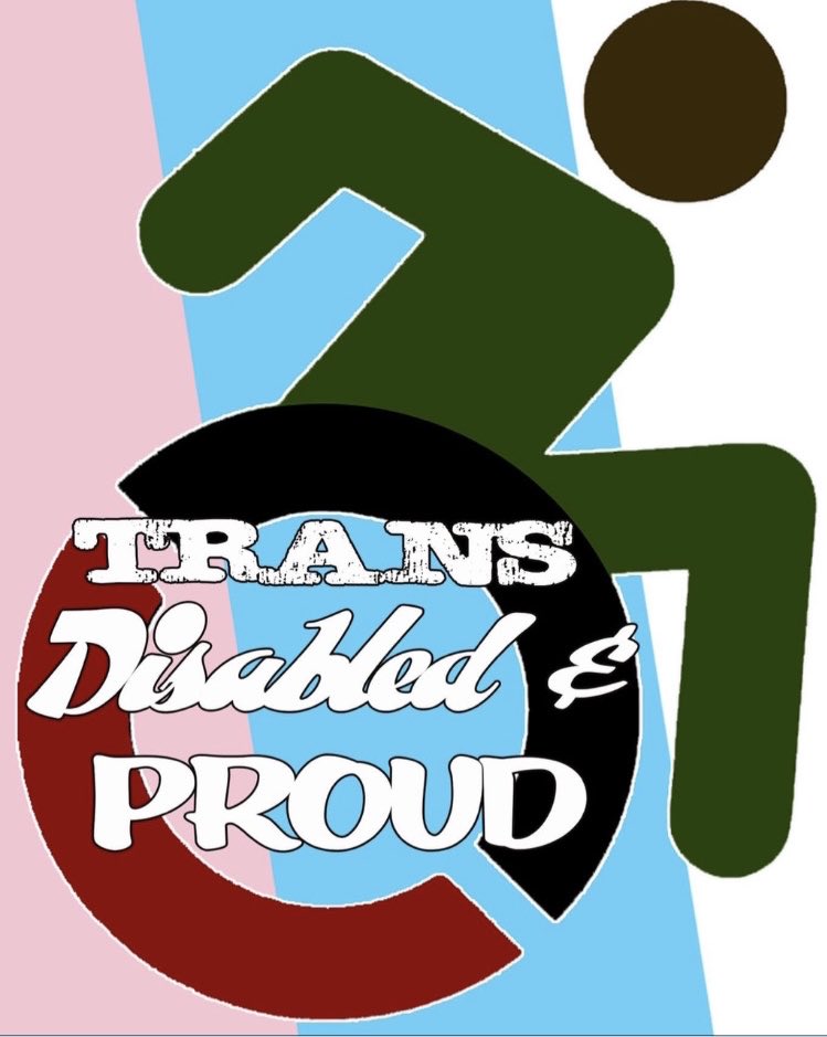 [image of the access symbol with the trans community flag and the text “Trans Disabled and Proud]

Love who you are… 

#TransDayOfVisibility