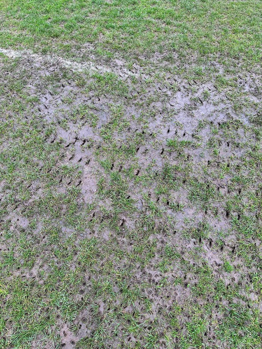 WyboGroundsman's tweet photo. @PointonFC1st 🫡🤞🏼 https://t.co/l2CgPMxBpf
