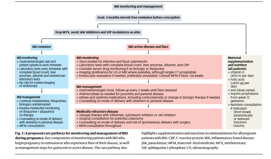 Algorithm for the management of IBD in Pregnancy