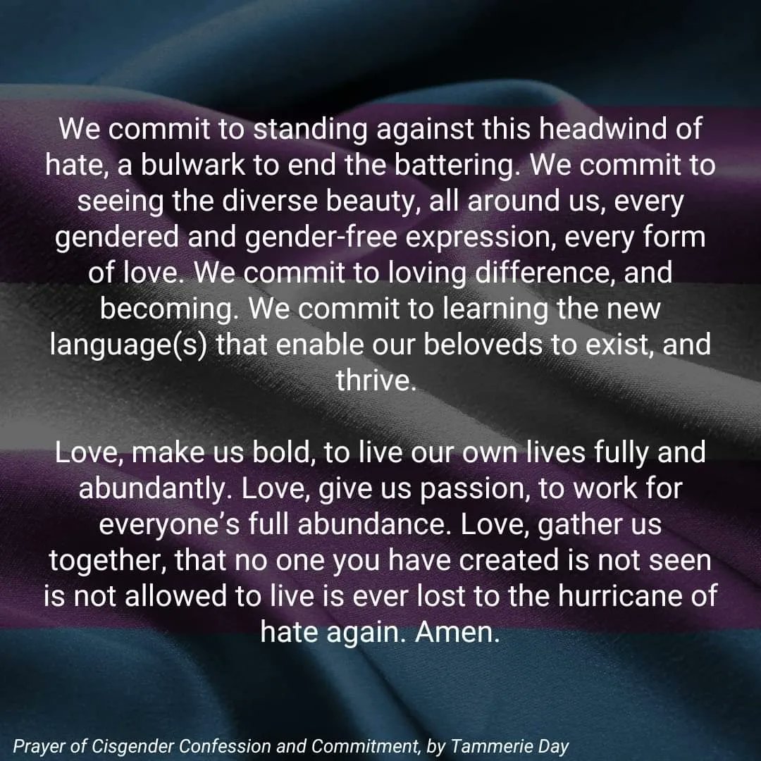 A Prayer for the Transgender Day of Visibility - written by Tammerie Day.

#TransDayOfVisibility
#TDOV2023
#TDOV 
#transrightsarehumanrights
#proudanglicans 
#diohuron
