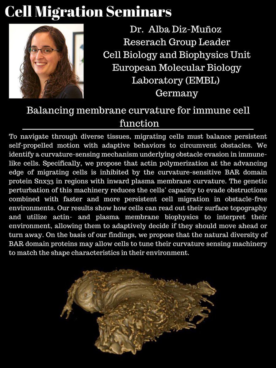 Cell Migration Seminars (@cellmigration) on Twitter photo Join us coming tueday on 4th April at 11 am ET to hear from Dr. Abdel Rahman <a href="/AR_AbdelFattah/">Abdel Rahman Abdel Fattah</a> on epithelial morphogenesis and Dr. Alba Diz-Munoz <a href="/diz_lab/">Diz-Muñoz Lab</a> about membrane curvature for immune cell function. 😀
Feel free to register on cellmigrationseminars.com if not already! Join us coming tueday on 4th April at 11 am ET to hear from Dr. Abdel Rahman <a href="/AR_AbdelFattah/">Abdel Rahman Abdel Fattah</a> on epithelial morphogenesis and Dr. Alba Diz-Munoz <a href="/diz_lab/">Diz-Muñoz Lab</a> about membrane curvature for immune cell function. 😀
Feel free to register on cellmigrationseminars.com if not already!