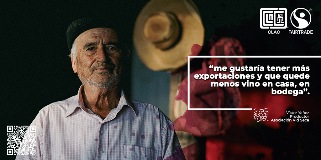 #VinoFairtradeLatinoamérica | La vida de Víctor Yáñez ha sido y es en los viñedos. Conoce la historia de este pequeño productor de Vid Seca, en Chile, y cómo el Comercio Justo se ha convertido en el aliado de este vinicultor histórico. LINK: clac-comerciojusto.org/historia-de-vi…