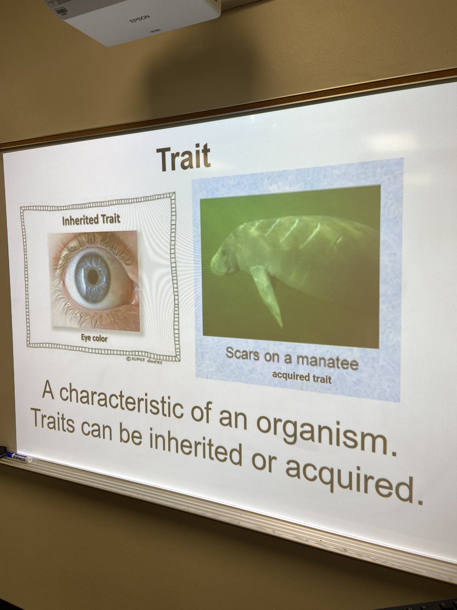 kellywhitti's tweet image. #vocslideforstudents @robynsuzanne83 @mrsringstaff1 #pinkspringtraining @eagertolearnSoo @shantieljovanna