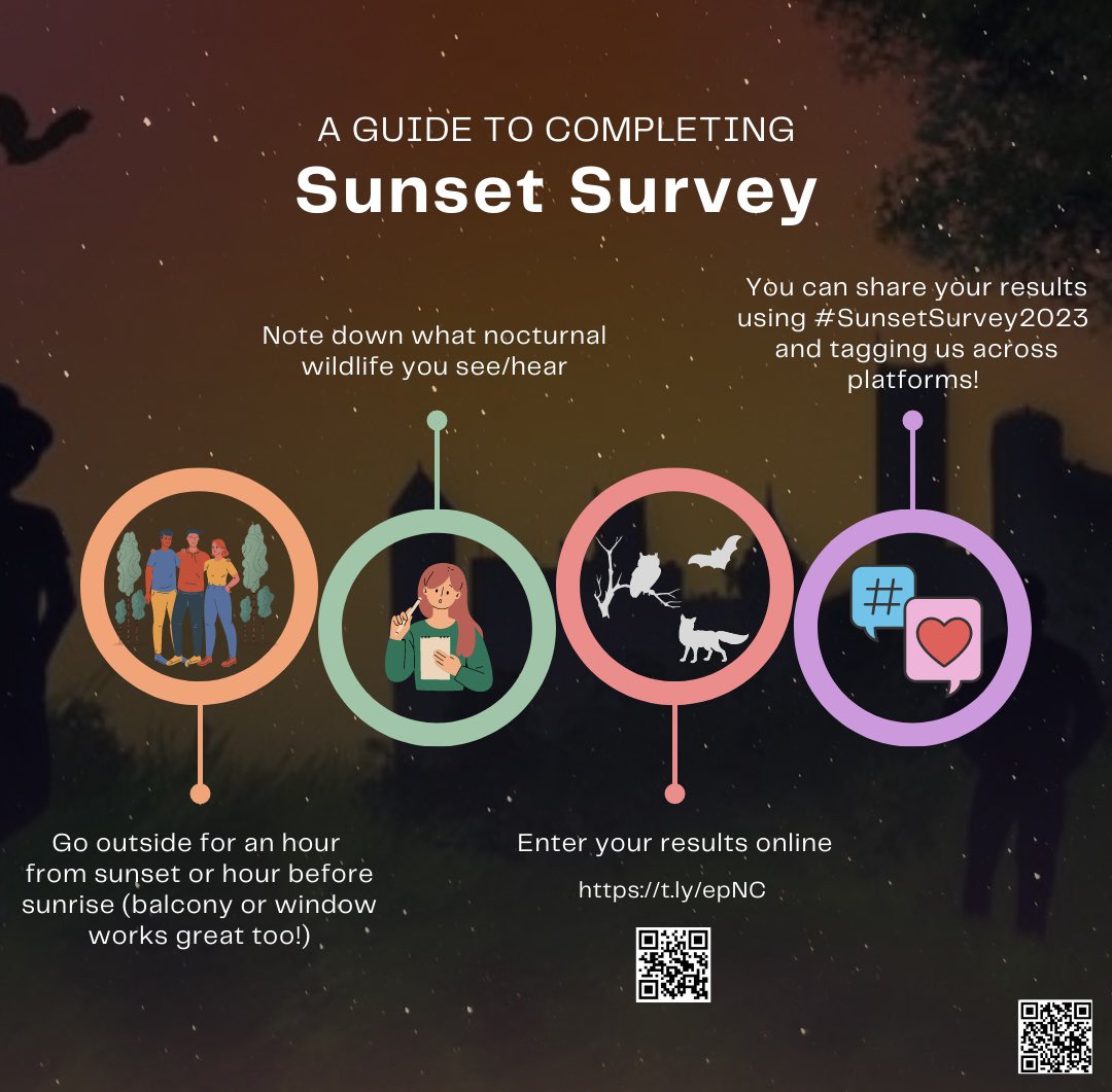 Who is ready for #SunsetSurvey2023 tomorrow?! 🦊🌳🦇 Check out our guide 👇 on how to complete a Sunset Survey ✨NO experience or equipment necessary✨ and is perfect for friends and family 😎 🔗 to get started: bats.org.uk/our-work/natio…