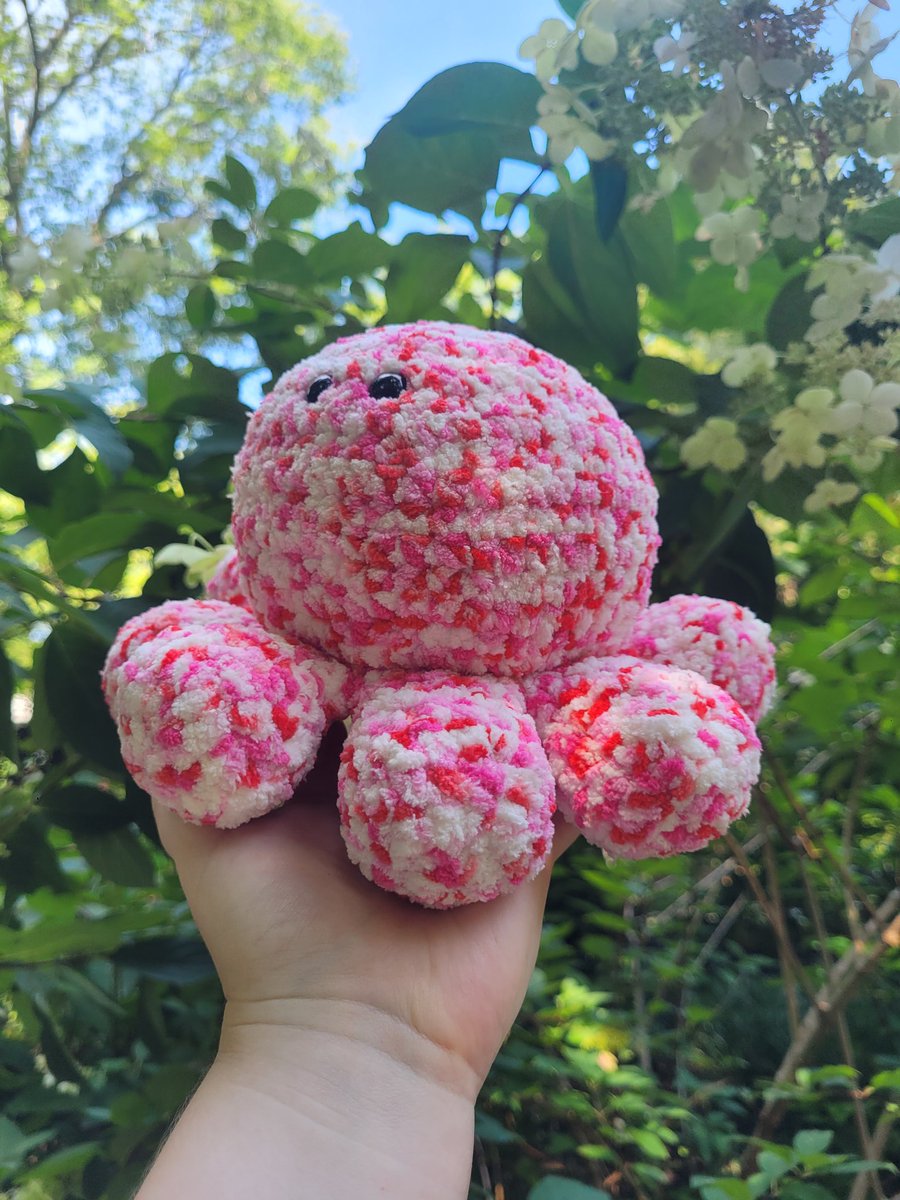 OddballCritters's tweet photo. Meet Dragon Fruit the Octopus! 🩷🤍🩷🤍 https://t.co/xlSeT1cGOz