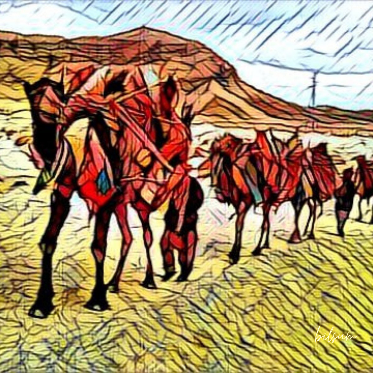 auroraapricus's tweet photo. Thread 🧵

Daptar Shair – Baloch Genealogy Embedded in Poetry
Throughout the history of mankind, migrations have played a vital role as the cultural interactions and assimilations that we see today are the result of these migrations. 
#Balochistan #Baloch #Literature  
[1/25] https://t.co/sI1gTv99D9