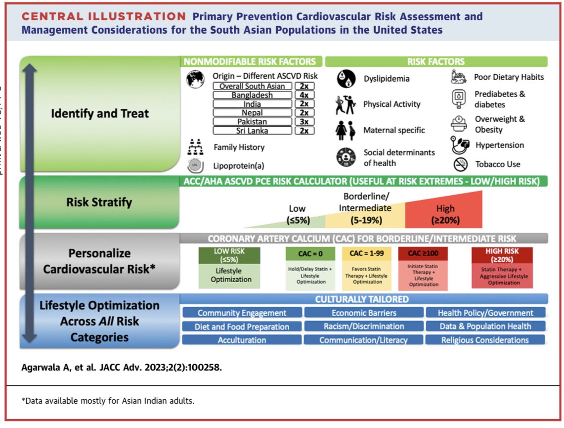 Jaideep (@jaideeppatelmd) on Twitter photo 🚨In press: our invited Expert Panel manuscript discusses primary prevention ASCVD risk assessment and management considerations for #SouthAsians <a href="/JACCJournals/">JACC Journals</a> #JACCAdvances
🔗jacc.org/doi/10.1016/j.…
<a href="/hopkinsheart/">Johns Hopkins Cardiology</a> <a href="/CiccaroneCenter/">Johns Hopkins Ciccarone Center</a> <a href="/masala_study/">MASALA Study</a> <a href="/ourhealthstudy/">OurHealth</a> <a href="/CandiceSilvers1/">Candice Silversides</a> 🚨In press: our invited Expert Panel manuscript discusses primary prevention ASCVD risk assessment and management considerations for #SouthAsians <a href="/JACCJournals/">JACC Journals</a> #JACCAdvances
🔗jacc.org/doi/10.1016/j.…
<a href="/hopkinsheart/">Johns Hopkins Cardiology</a> <a href="/CiccaroneCenter/">Johns Hopkins Ciccarone Center</a> <a href="/masala_study/">MASALA Study</a> <a href="/ourhealthstudy/">OurHealth</a> <a href="/CandiceSilvers1/">Candice Silversides</a>