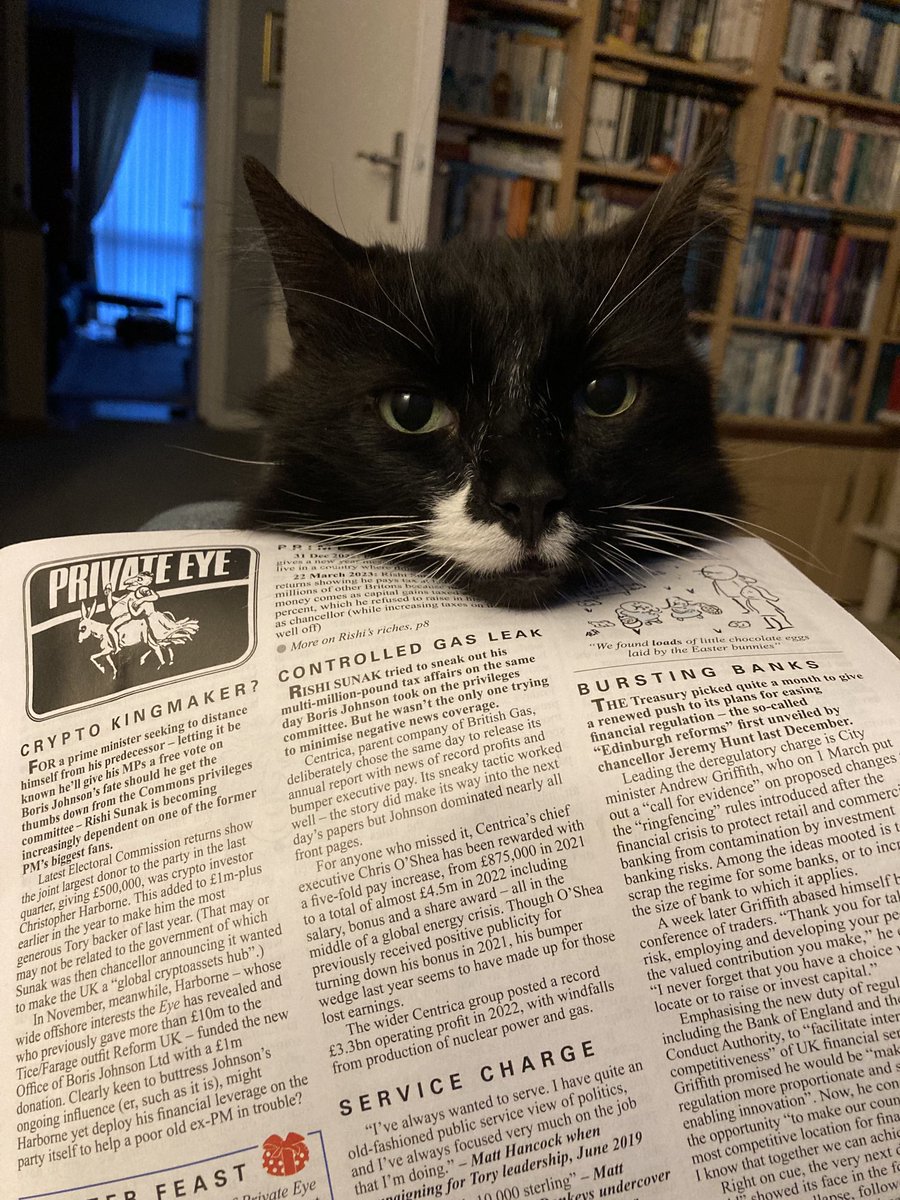 davidsupercat's tweet photo. I think he wants to play…… https://t.co/PtRvmY4b6M