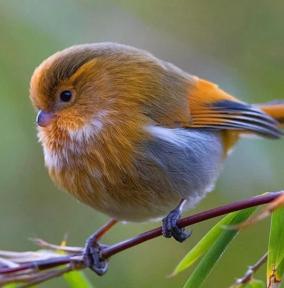 𝑺𝒐𝒇𝒊𝒔𝒕𝒊𝒌𝒂𝒅𝒂 (@sofistikada06) on Twitter photo 