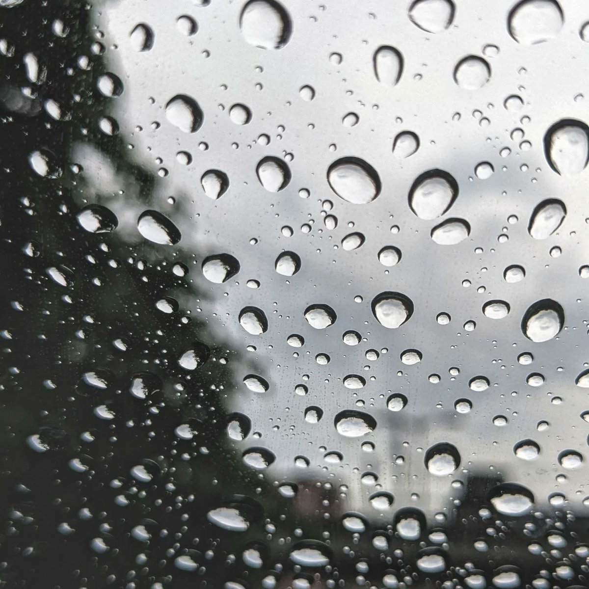 ExploreWithRoy's tweet image. बारिश की बूंदों की होती कहां है जुबां...⛈️😘

#rainlove #delhi #photooftheday #photo #incredibleindia #FridayVibes @madebygoogle @connaughtplace1