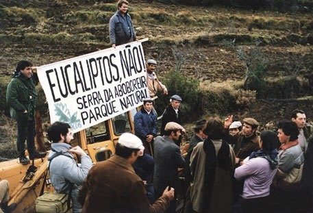 Neste dia, a 31 de março de 1989, cerca de 800 pessoas de várias aldeias perto de Valpaços, no distrito de Bragança, Portugal, protagonizaram um importante protesto contra a plantação de eucaliptos pelos efeitos de seca e maior risco de incêndio que esta espécie invasora propicia