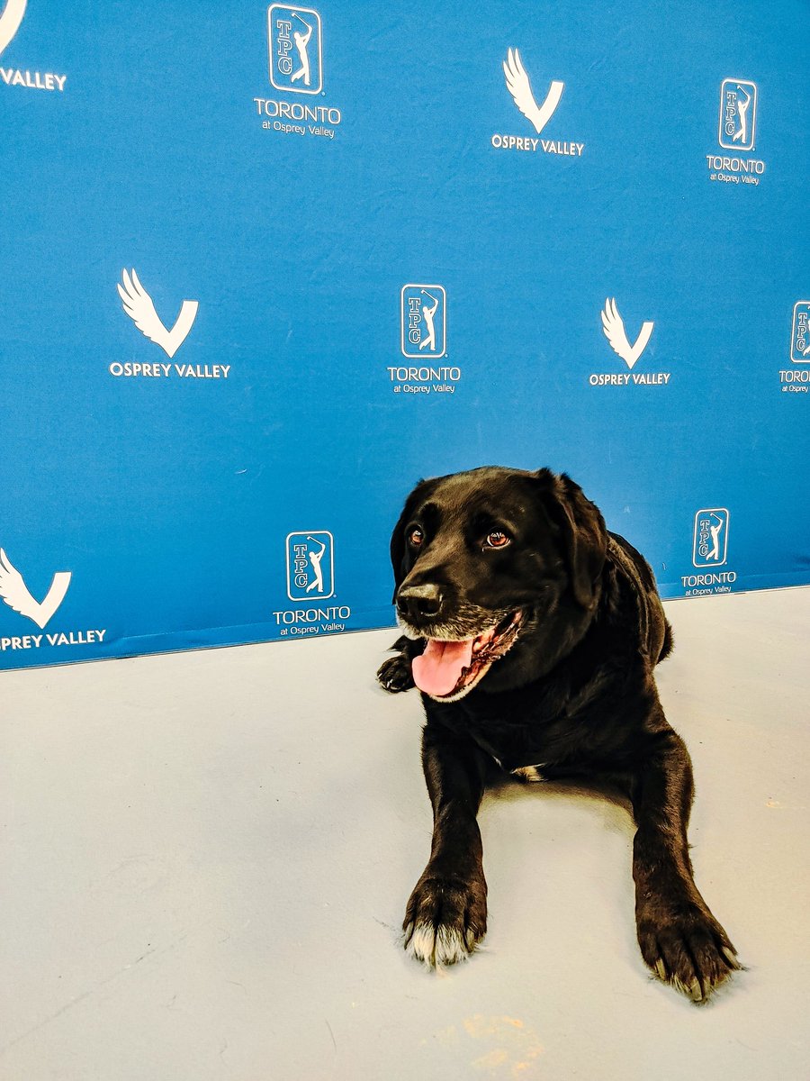 Aaron Hill (@hill_mr_aaron) on Twitter photo 