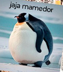 Coso Team (@cosoteam) on Twitter photo 