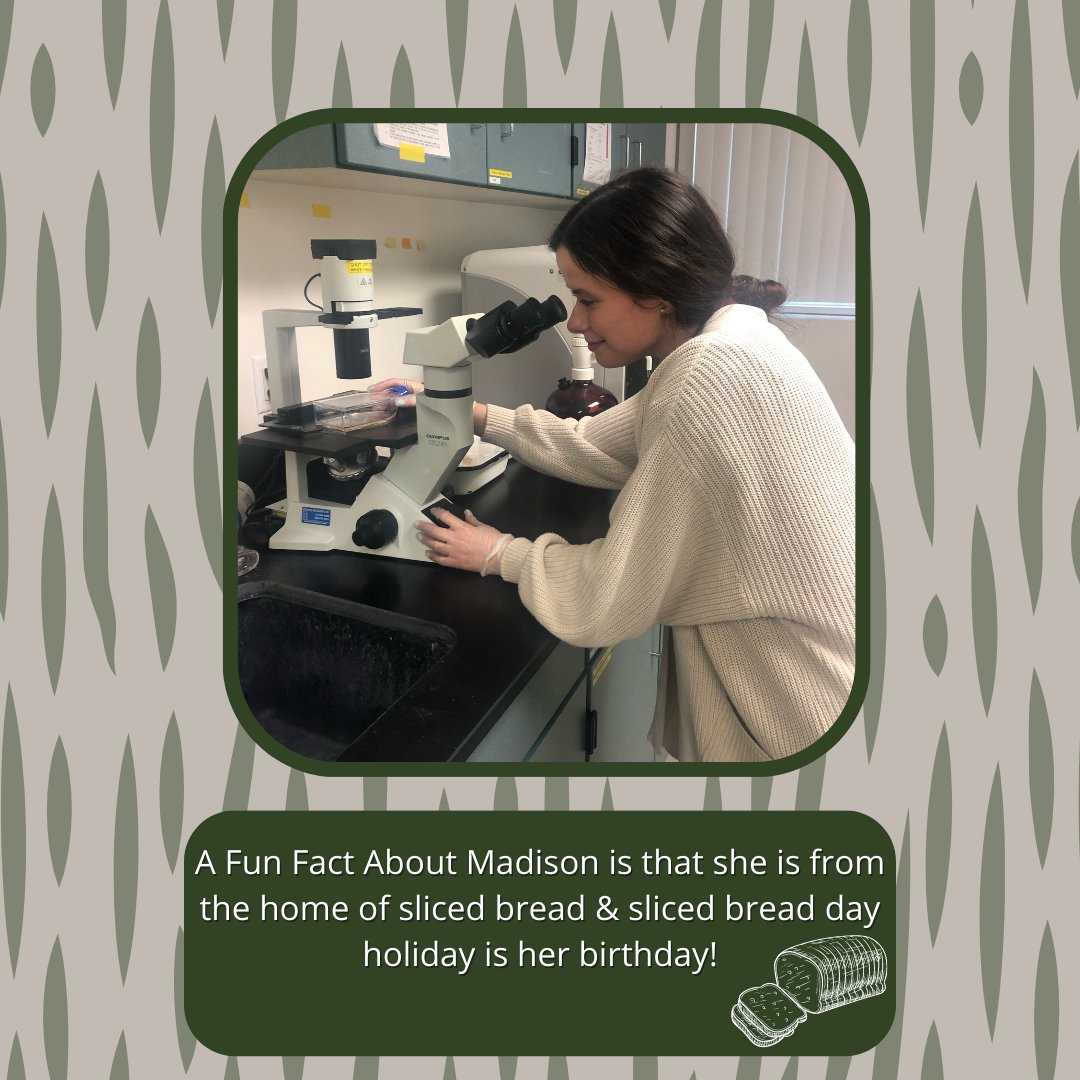 MSU Biomedical Sciences Department tweet media