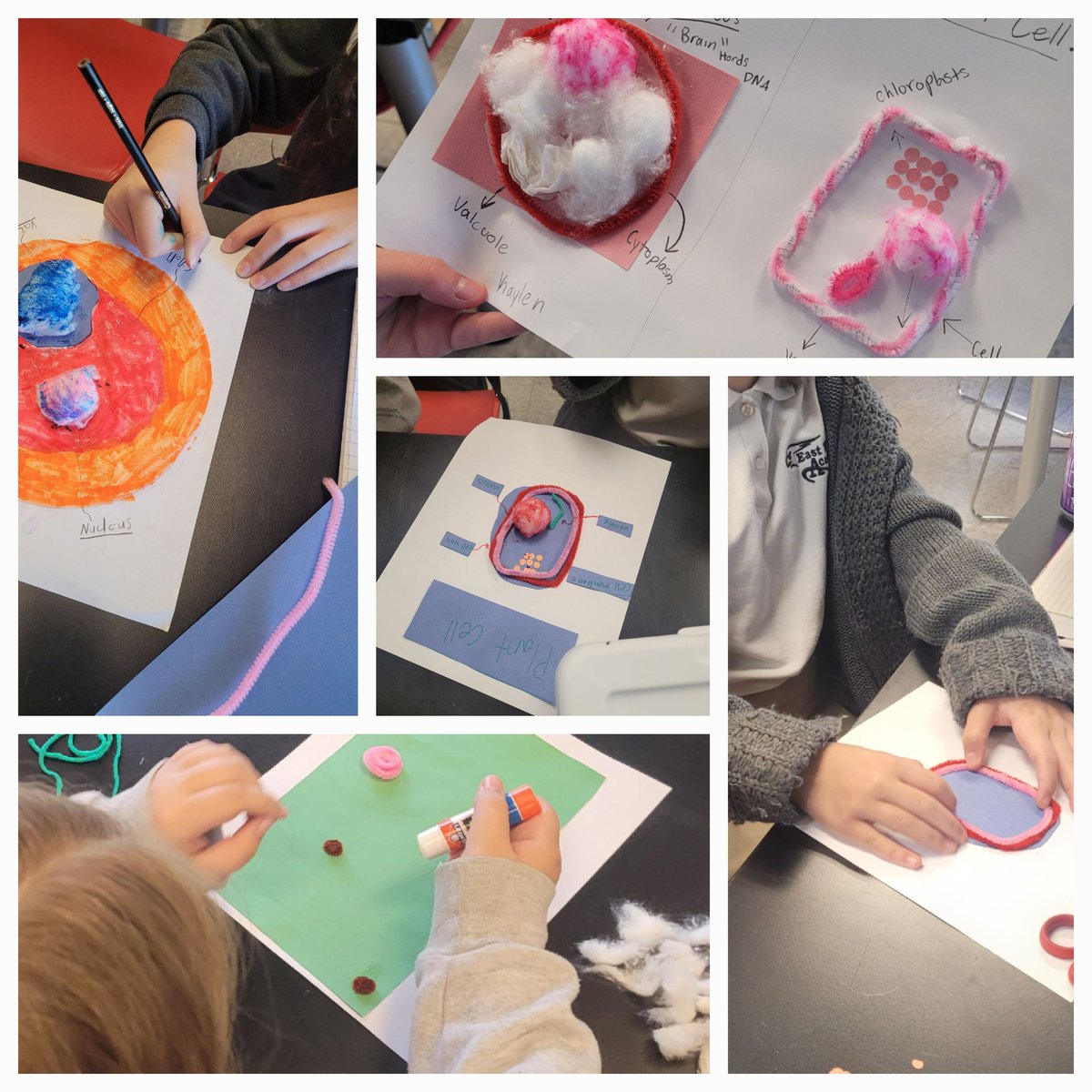 LittleLeaders4's tweet photo. Creating plant and animal cell models #5thGradeRocks #EWA25 #RockingQ4 #BuildingConcepts https://t.co/Kq1wIZE3uM