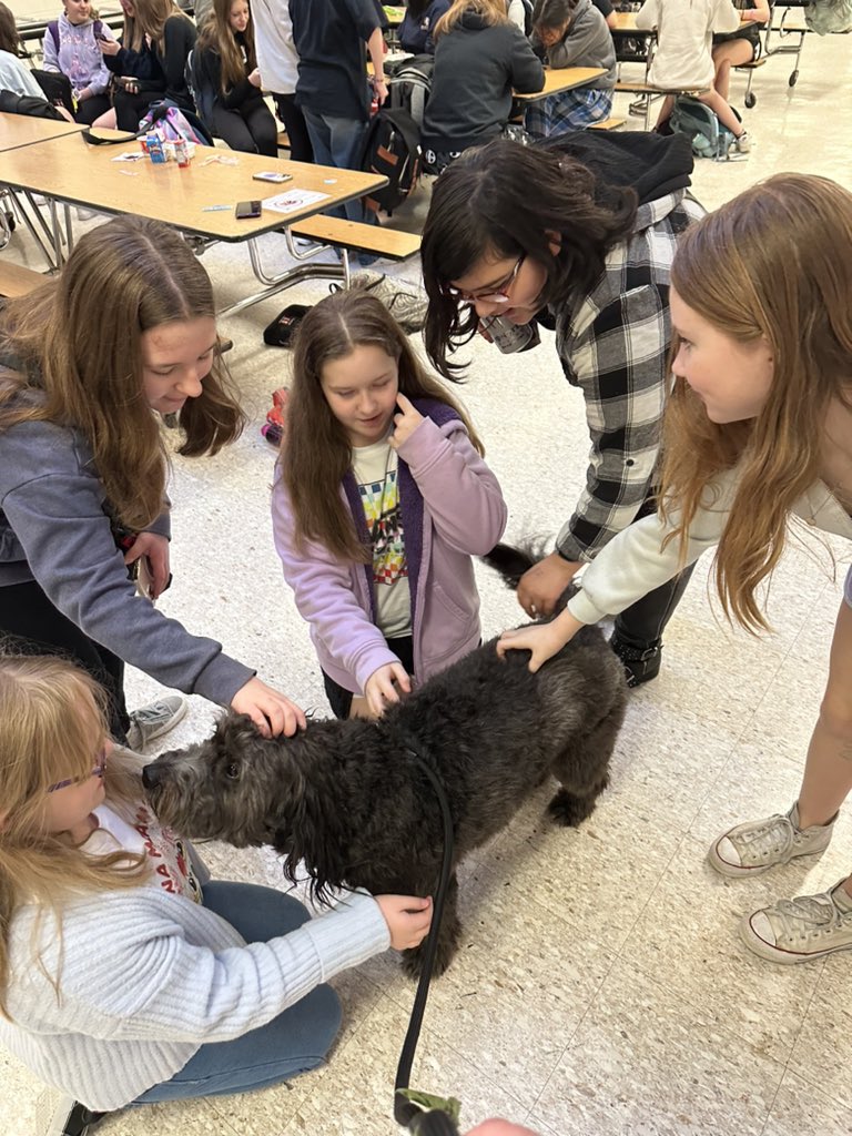 Remi_Ingwerson's tweet photo. I sure am going to miss all my friends over spring break.  🐕 😢 https://t.co/3wFfYz3hfb
