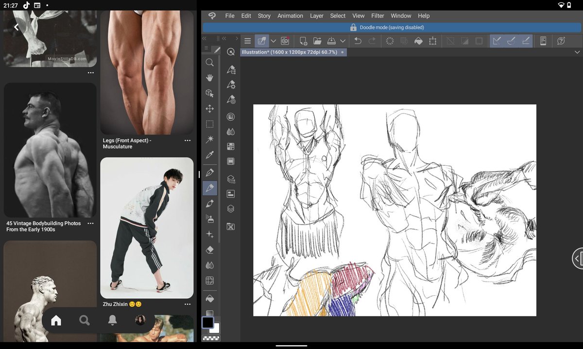 stloomie's tweet photo. anatomy practice https://t.co/MOWPYMe13F