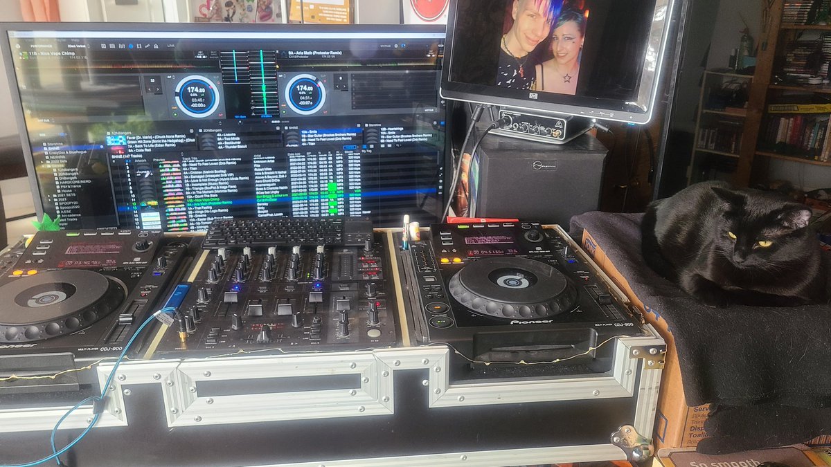 My setup for the day... Complete with table-side cat. 💙🌟💙