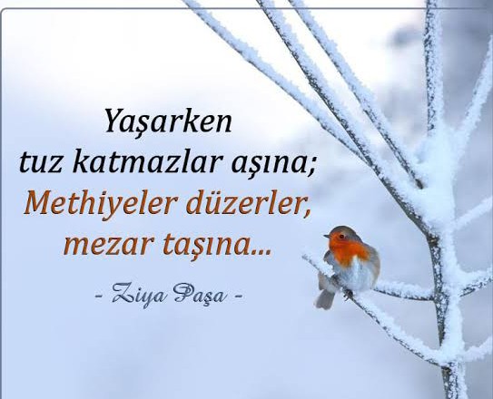 mutlu_akcnar's tweet photo. #HedefTazminat Günün sonunda ne bir bahane, ne bir açıklama, ne de bir pişmanlık olsun. ASTSUBAYLAR ADALET PESINDE @RTErdogan @mustafaelitas @yilmaz_ismet58 @NureddinNebati @DurgenHamza https://t.co/uoTXLA7F5r
