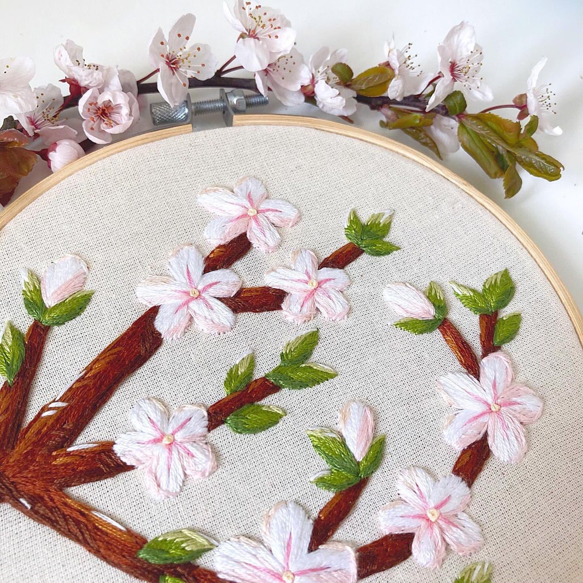 Blossom season! 🌸🌸🌸