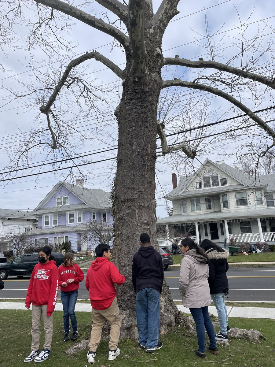 RBMSPE's tweet photo. Redbank middle school, mindful walking. Smelling the flowers ,visiting the trees. Using our senses to de stress.#RBBISBIA @rbmsROCKETS @RedBankSup https://t.co/hvMYd3CmVQ