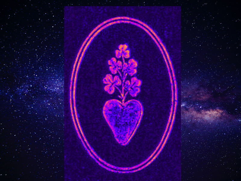 Irish-American Crossroads Festival tweet media