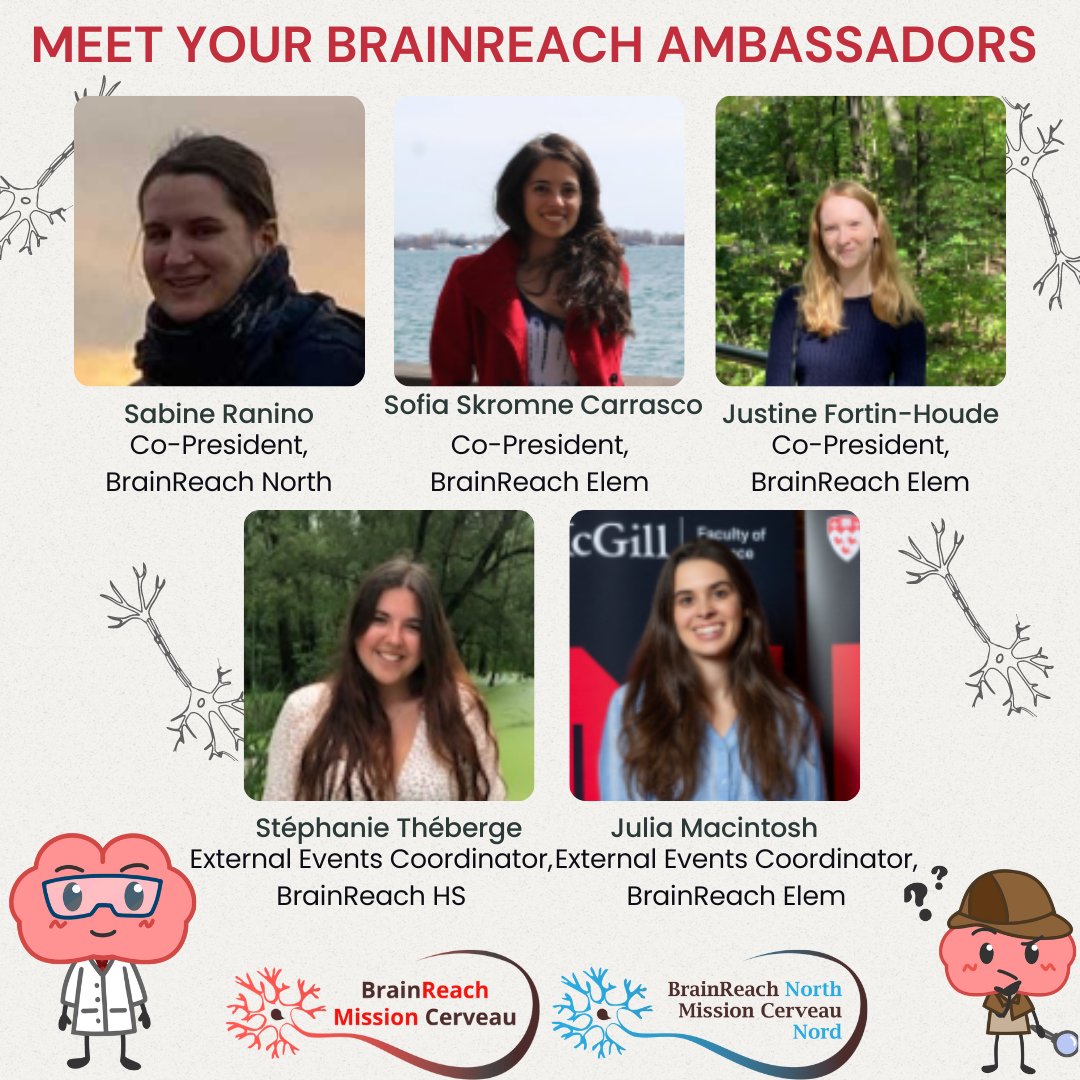 BrainReach - Mission Cerveau tweet media