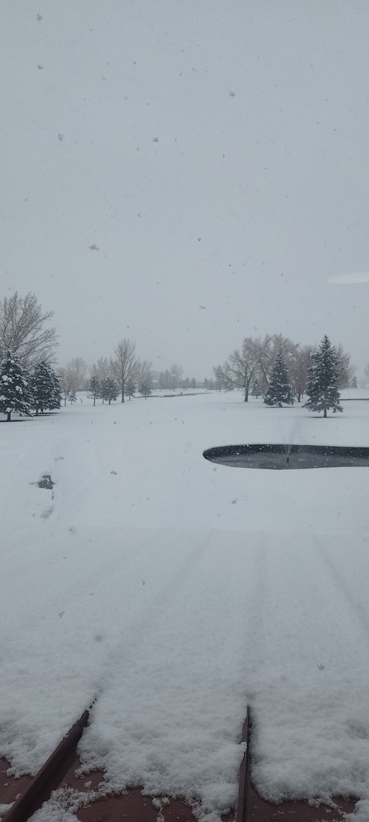 jwoody1972's tweet photo. Ok, this is getting ridiculous...#Timeforsummer https://t.co/5JUW5CvFwq